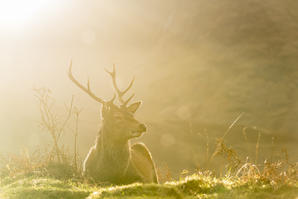 Platz 12 Robert Seitz